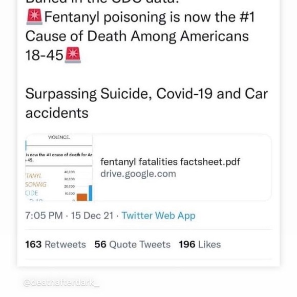 Timberland Shoes like new 10.5 - Picture 12 of 12